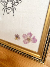 Load image into Gallery viewer, Close up of real pressed flowers in frame
