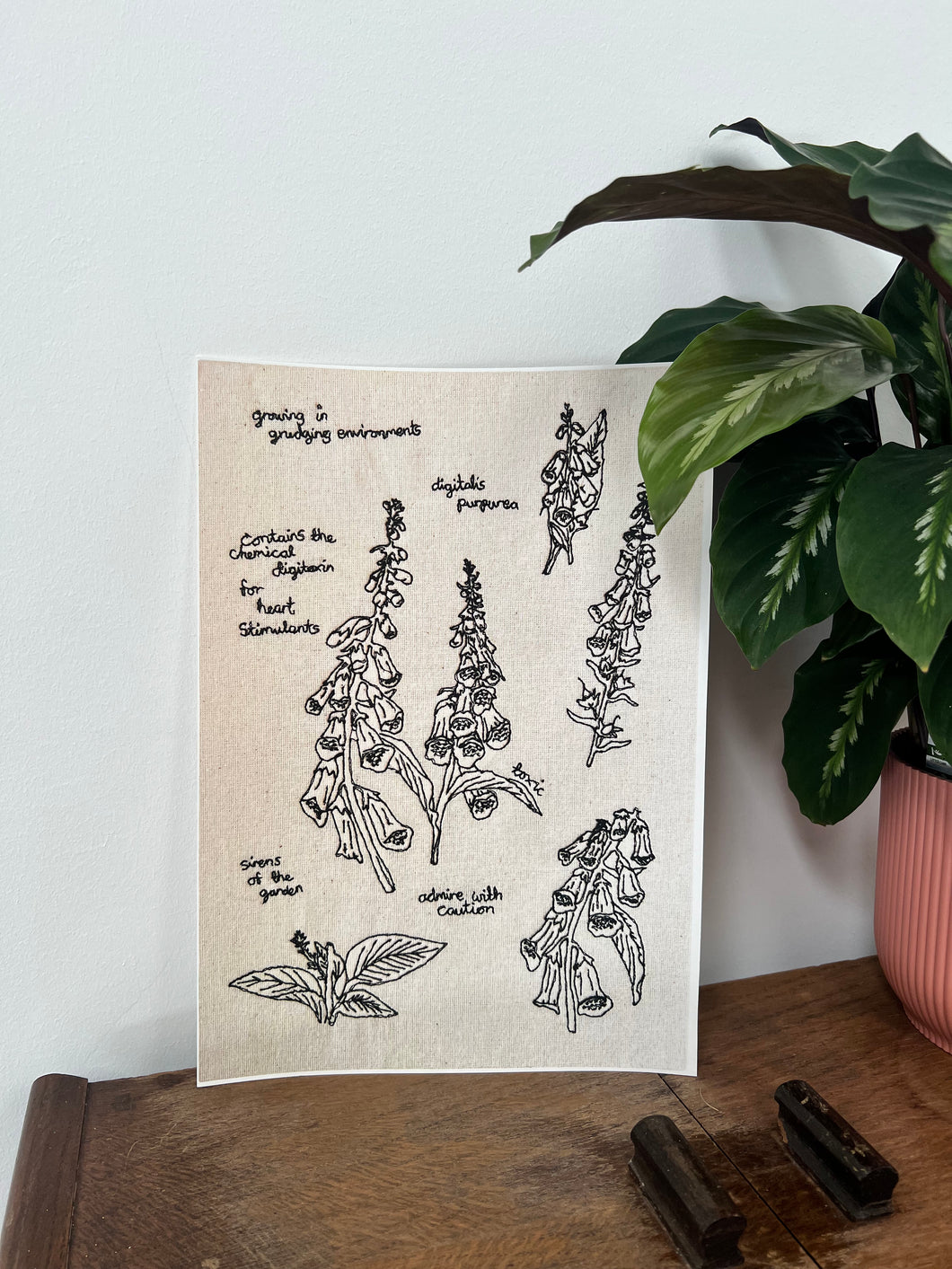 'Foxgloves' A4 Giclée Print